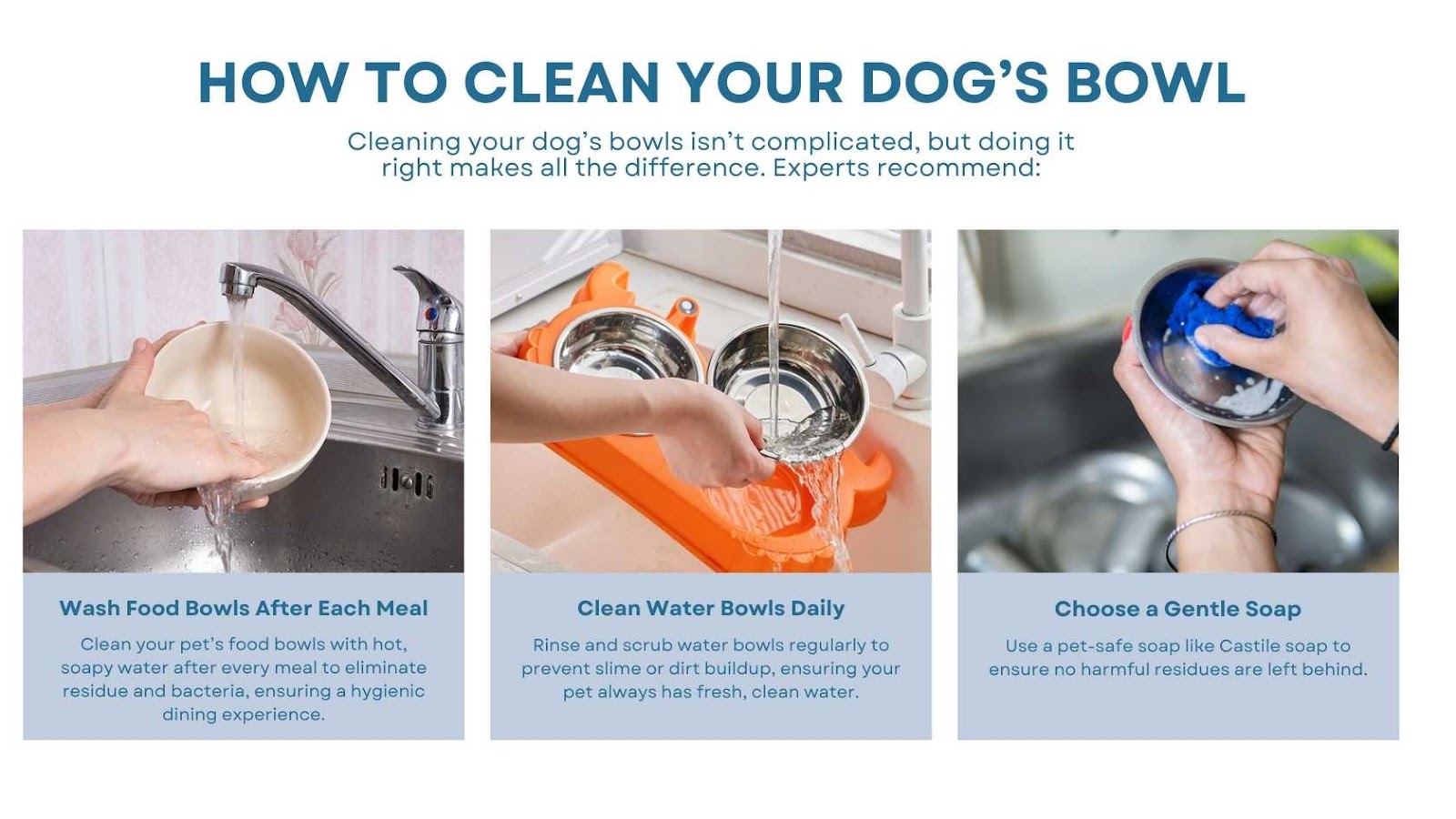 Pet food bowls cleaning guide