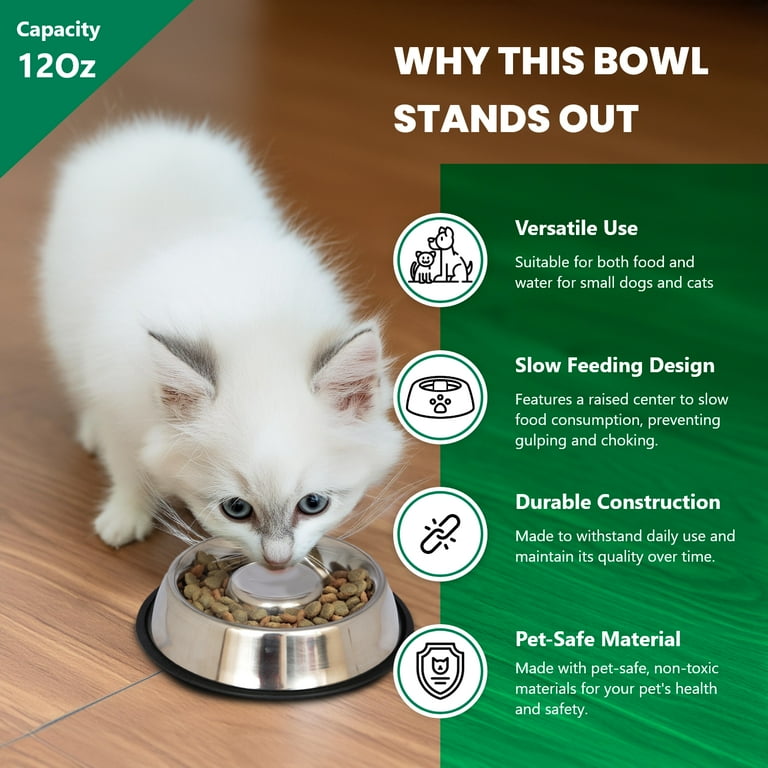 Kitten eating from slow feeder bowl