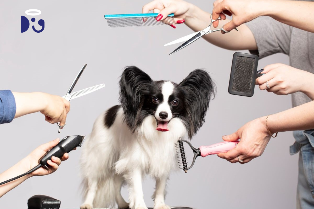 Professional dog grooming