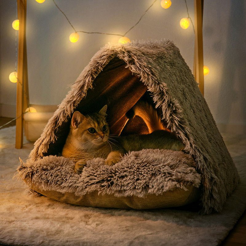 Cat in fluffy bed