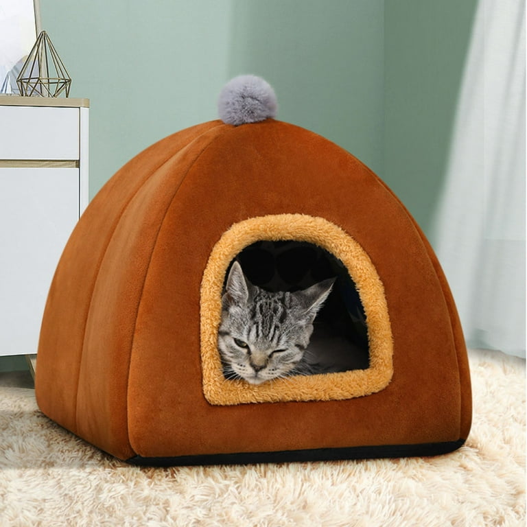 Cat in cozy bed