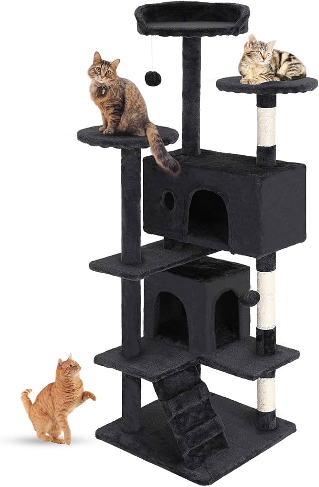 Cats on cat tree