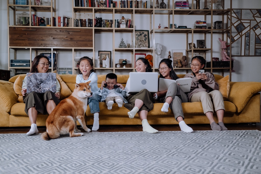 Shiba Inu with family