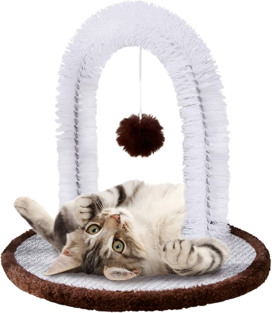Kitten with grooming arch toy