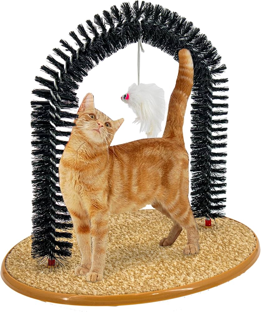 Ginger cat grooming arch