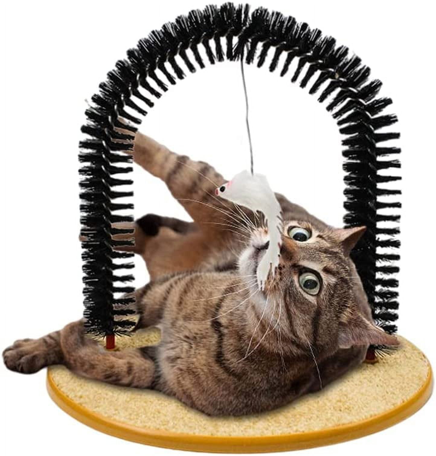 Cat playing with grooming toy