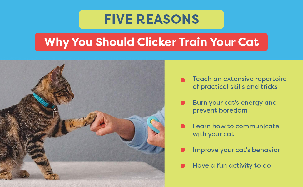 Clicker training benefits