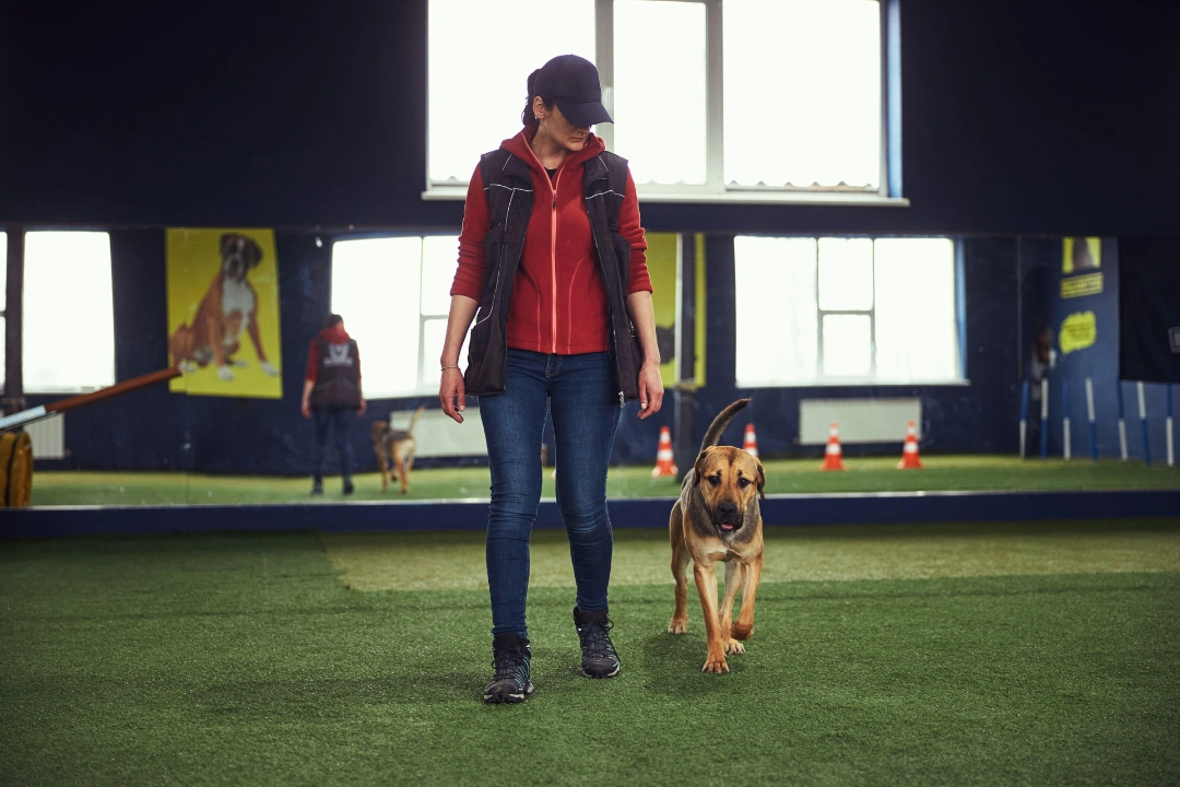 Indoor training session