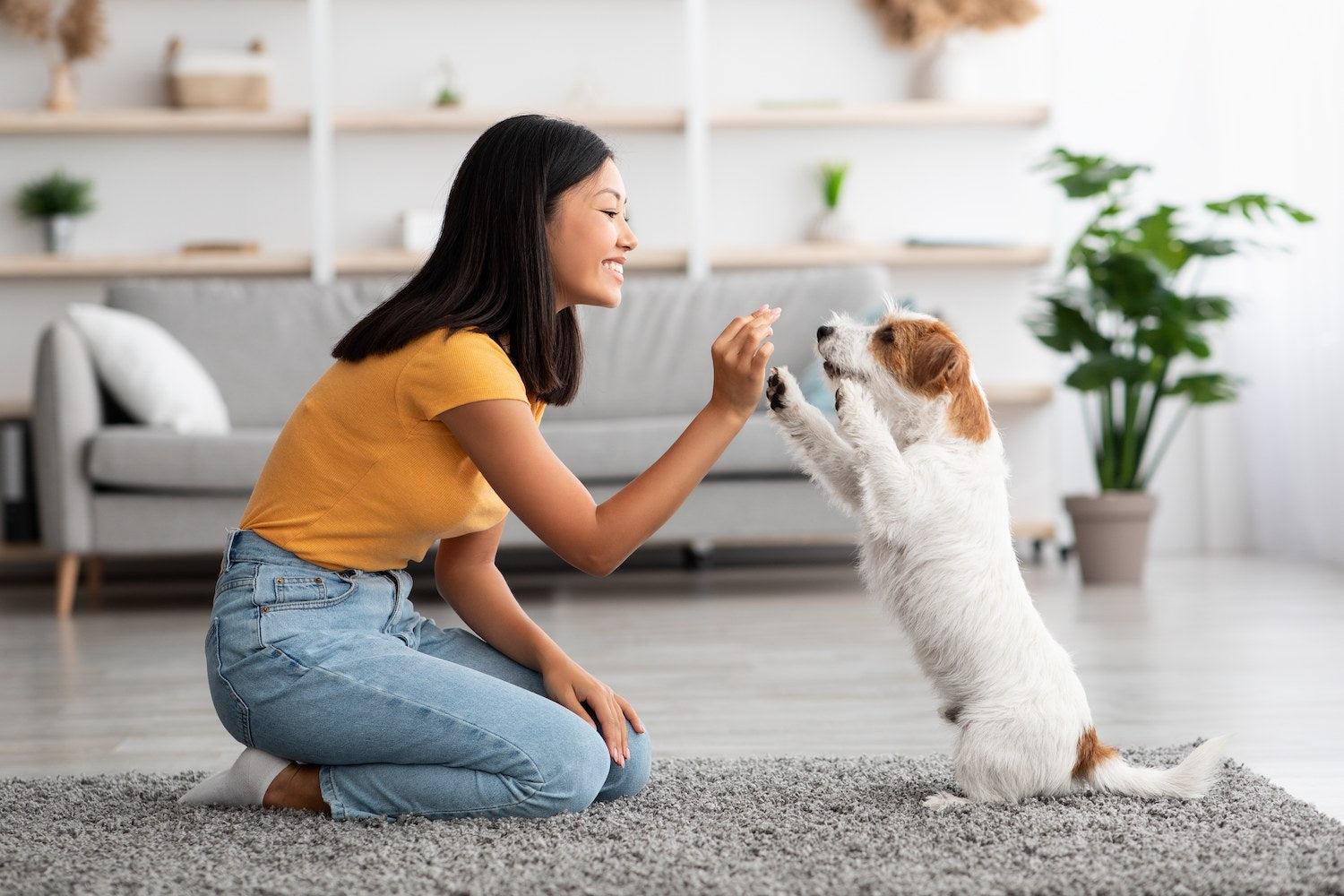 Woman training dog with treats