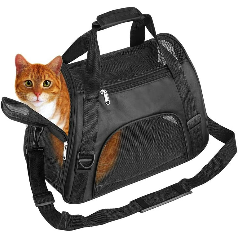 Cat in black carrier