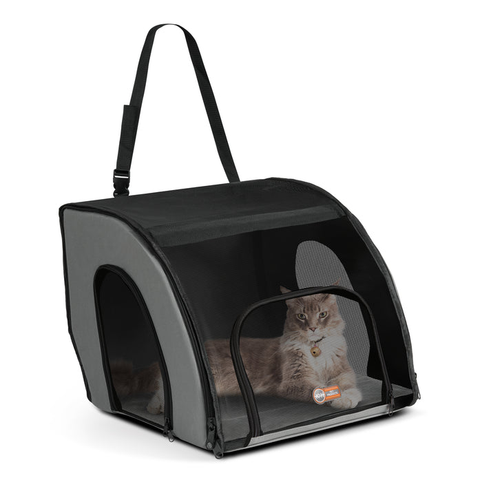 Cat in soft carrier