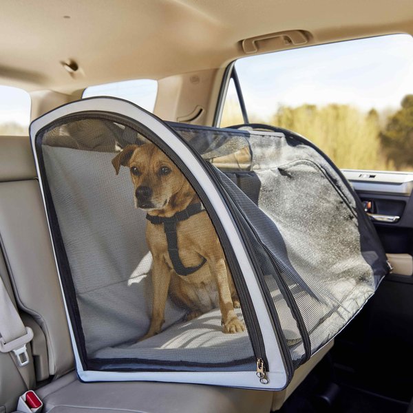 Dog in car safety carrier