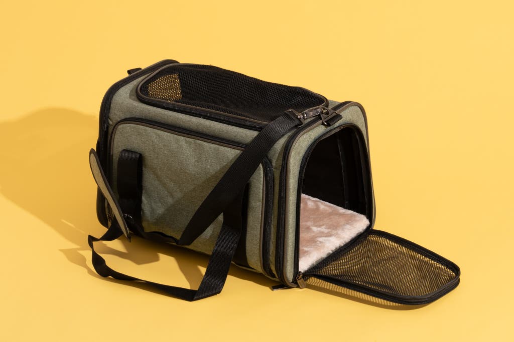 Green pet travel carrier